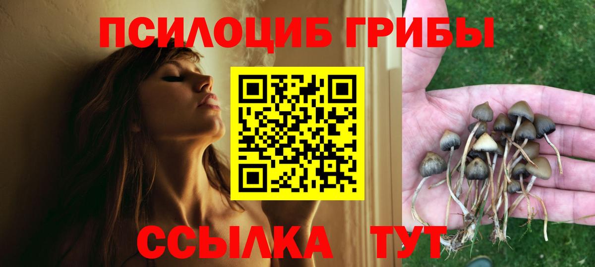 Псилоцибиновые грибы GOLDEN TEACHER Краснодар